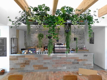 グリーンが彩るカフェ併設のパン屋さん