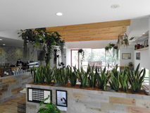 グリーンが彩るカフェ併設のパン屋さん